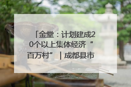 金堂：计划建成20个以上集体经济“百万村”｜成都县市新城高质量发展