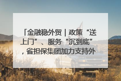 金融稳外贸｜政策“送上门”、服务“沉到底”，省担保集团加力支持外经贸高质量发展