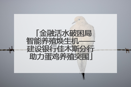 金融活水破困局 智能养殖焕生机——建设银行佳木斯分行助力蛋鸡养殖突围