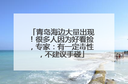 青岛海边大量出现！很多人因为好看捡，专家：有一定毒性，不建议手碰
