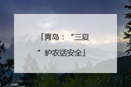 青岛：“三夏”护农话安全