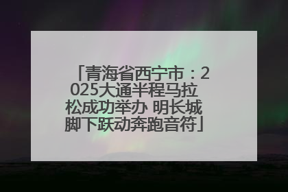 青海省西宁市：2025大通半程马拉松成功举办 明长城脚下跃动奔跑音符
