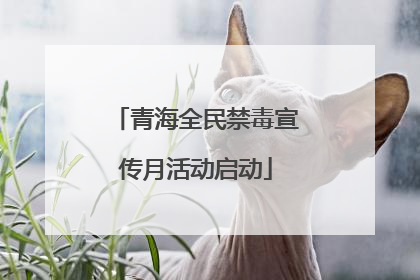 青海全民禁毒宣传月活动启动