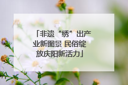 非遗“绣”出产业新图景 民俗绽放庆阳新活力