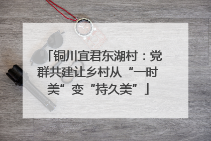 铜川宜君东湖村：党群共建让乡村从“一时美”变“持久美”