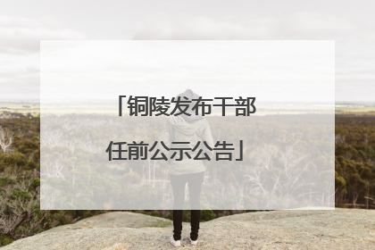 铜陵发布干部任前公示公告