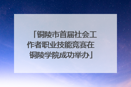 铜陵市首届社会工作者职业技能竞赛在铜陵学院成功举办