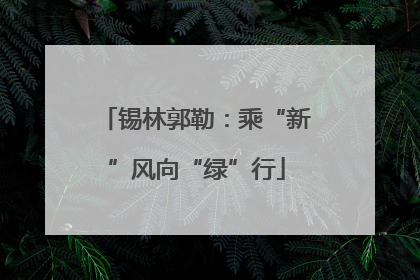 锡林郭勒：乘“新”风向“绿”行