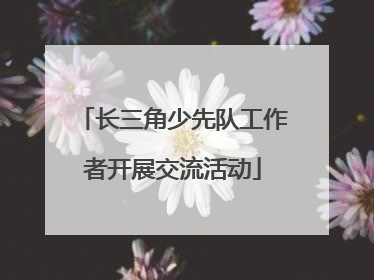 长三角少先队工作者开展交流活动