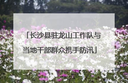 长沙县驻龙山工作队与当地干部群众携手防汛