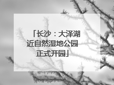 长沙：大泽湖近自然湿地公园正式开园