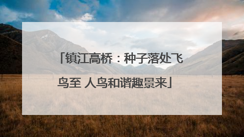 镇江高桥：种子落处飞鸟至 人鸟和谐趣景来
