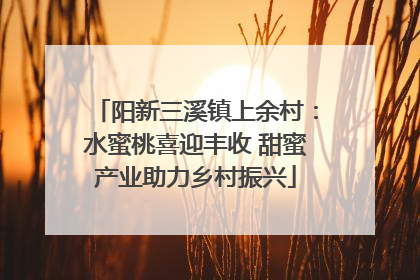 阳新三溪镇上余村：水蜜桃喜迎丰收 甜蜜产业助力乡村振兴