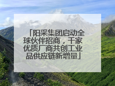 阳采集团启动全球伙伴招商，千家优质厂商共创工业品供应链新增量