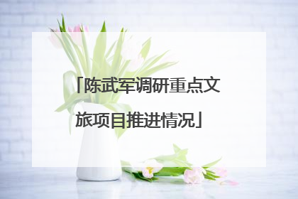 陈武军调研重点文旅项目推进情况