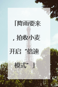 降雨要来，抢收小麦开启“倍速模式”