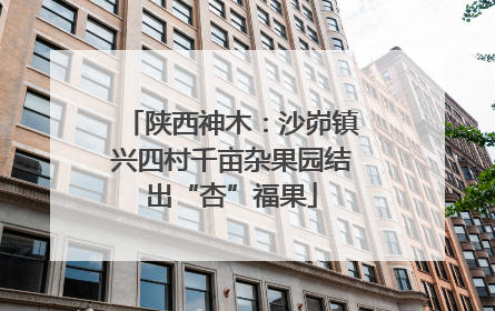 陕西神木：沙峁镇兴四村千亩杂果园结出“杏”福果