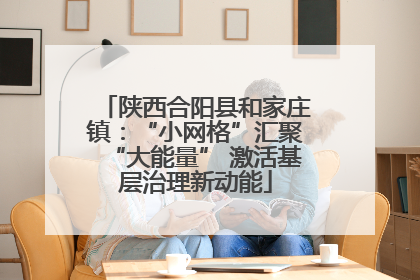 陕西合阳县和家庄镇：“小网格”汇聚“大能量” 激活基层治理新动能