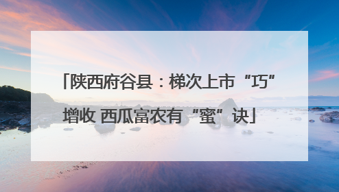 陕西府谷县：梯次上市“巧”增收 西瓜富农有“蜜”诀