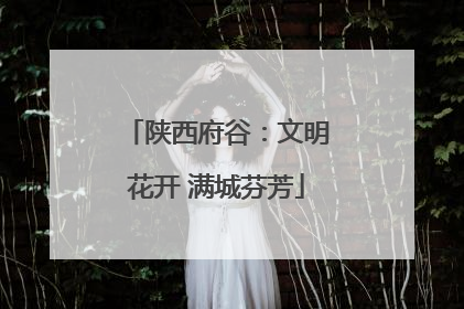 陕西府谷：文明花开 满城芬芳