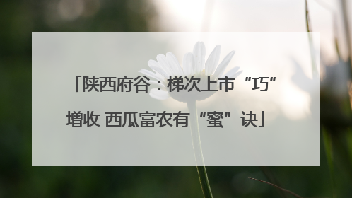 陕西府谷：梯次上市“巧”增收 西瓜富农有“蜜”诀