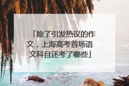除了引发热议的作文，上海高考首场语文科目还考了哪些