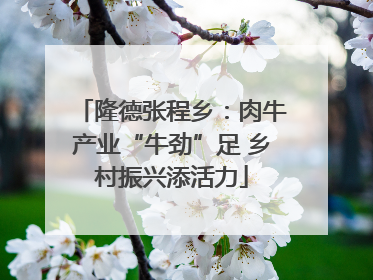 隆德张程乡：肉牛产业“牛劲”足 乡村振兴添活力