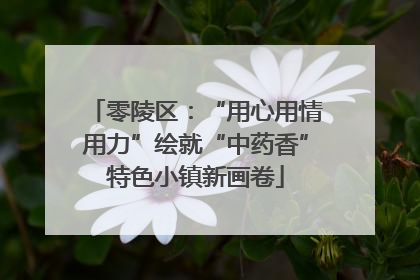 零陵区：“用心用情用力”绘就“中药香”特色小镇新画卷