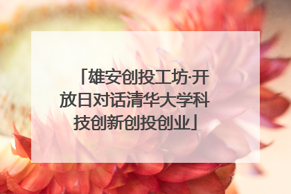 雄安创投工坊·开放日对话清华大学科技创新创投创业
