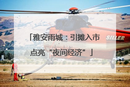 雅安雨城：引摊入市 点亮“夜间经济”