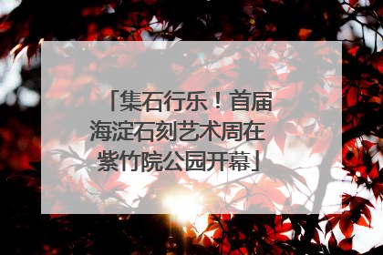 集石行乐！首届海淀石刻艺术周在紫竹院公园开幕