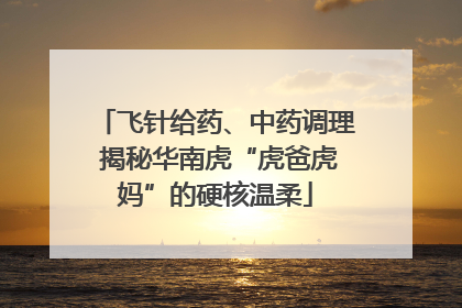 飞针给药、中药调理 揭秘华南虎“虎爸虎妈”的硬核温柔