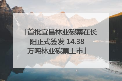 首批宜昌林业碳票在长阳正式签发 14.38万吨林业碳票上市