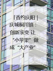 香约庆阳｜庆城桐川镇：创新求变 让“小苹果”做成“大产业”