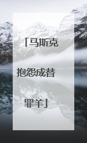 马斯克抱怨成替罪羊