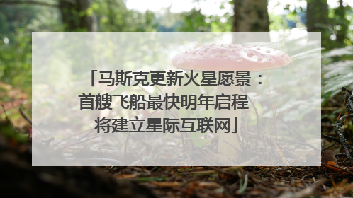 马斯克更新火星愿景：首艘飞船最快明年启程 将建立星际互联网