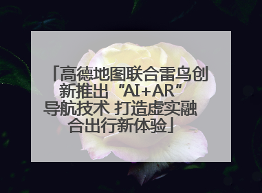 高德地图联合雷鸟创新推出“AI+AR”导航技术 打造虚实融合出行新体验