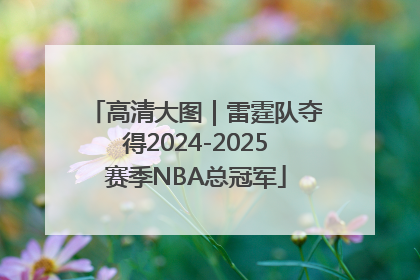 高清大图｜雷霆队夺得2024-2025赛季NBA总冠军