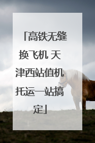 高铁无缝换飞机 天津西站值机托运一站搞定