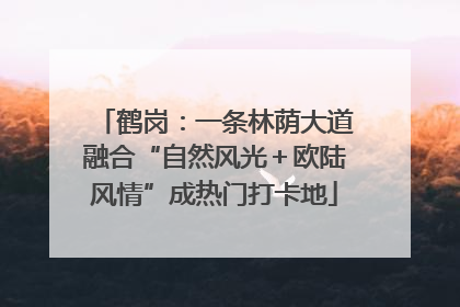 鹤岗：一条林荫大道融合“自然风光＋欧陆风情”成热门打卡地