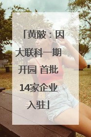 黄陂：因大联科一期开园 首批14家企业入驻