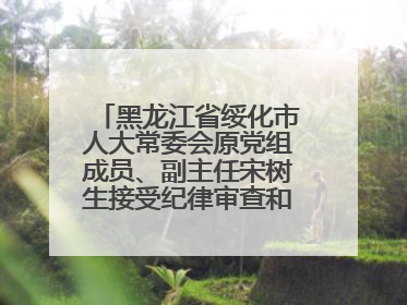 黑龙江省绥化市人大常委会原党组成员、副主任宋树生接受纪律审查和监察调查
