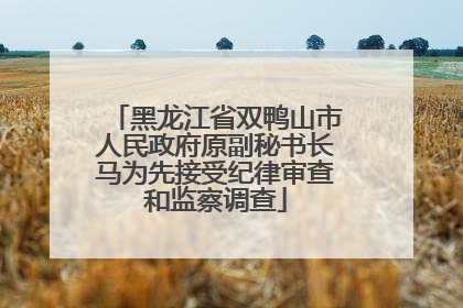 黑龙江省双鸭山市人民政府原副秘书长马为先接受纪律审查和监察调查