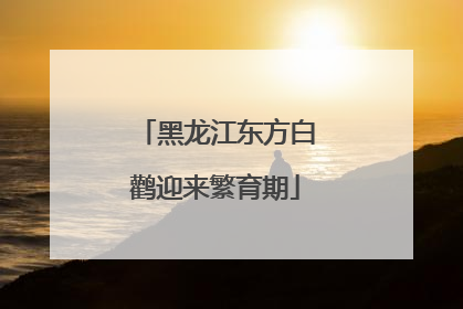 黑龙江东方白鹳迎来繁育期