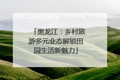 黑龙江：乡村旅游多元业态解锁田园生活新魅力