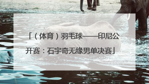 （体育）羽毛球——印尼公开赛：石宇奇无缘男单决赛