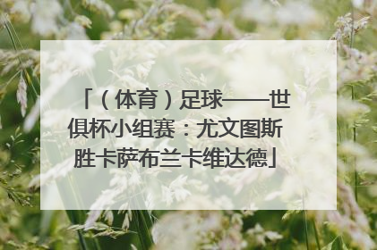 （体育）足球——世俱杯小组赛：尤文图斯胜卡萨布兰卡维达德