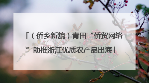 （侨乡新貌）青田“侨贸网络”助推浙江优质农产品出海