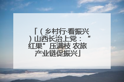 （乡村行·看振兴）山西长治上党：“红果”压满枝 农旅产业链促振兴