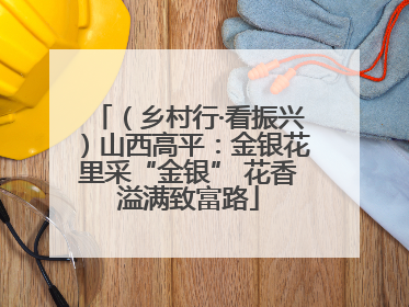 （乡村行·看振兴）山西高平：金银花里采“金银” 花香溢满致富路